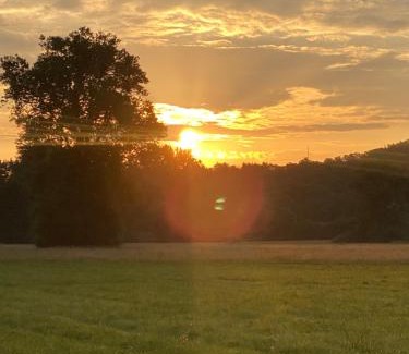 Niefern Apartment | Einzimmer Apartment