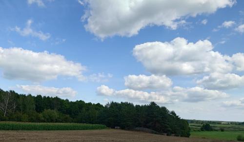 gmina Wizna House | Ekoterapia