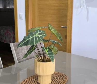 Barreiros Apartment | El Valle