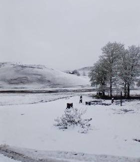 Drakensberg Gardens Apartment | Eland Valley Resort