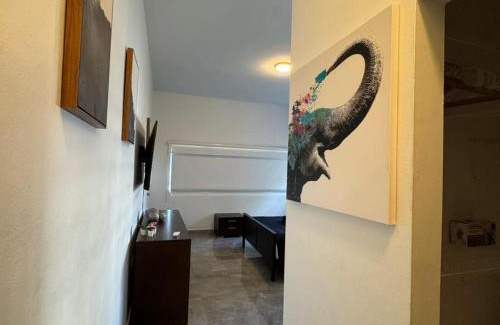 Parque Apartment | Elegant 1-Br Penthouse in Condado!