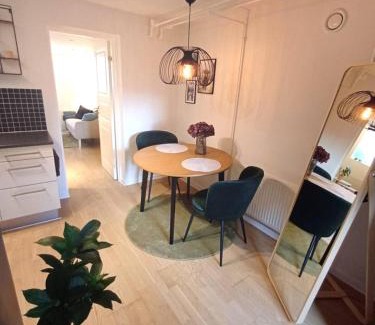 Aalborg Apartment | Elegant Apartment In Central Aalborg