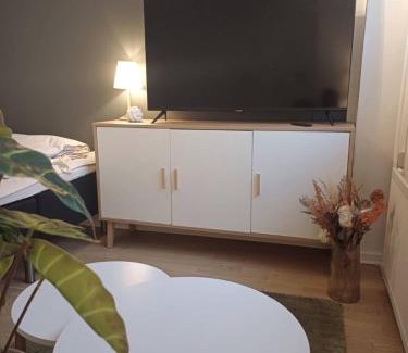 Aalborg Apartment | Elegant Apartment In Central Aalborg