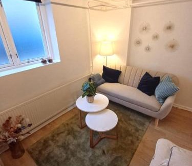 Aalborg Apartment | Elegant Apartment In Central Aalborg