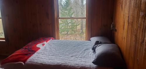 Franklin House | Elegant Cabin in the Woods