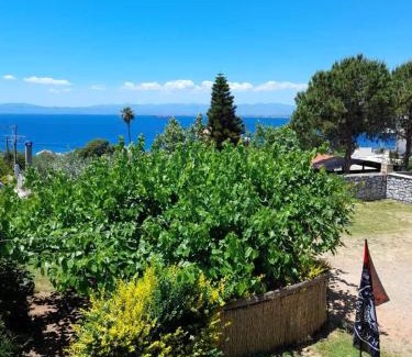 Mikri Mantineia House | ELGEORGE HOME