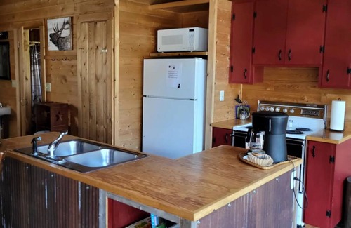 Condon Cabin | "Elk's Run" Rustic Cabin Hidden Among The Pines At Falls Creek.