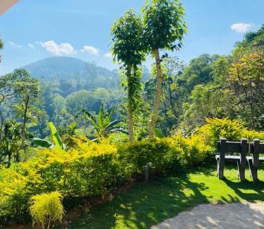 Ella House | Ella Willow Cottage