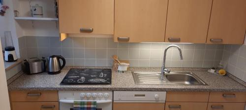 Horn Apartment | Elouise Homely Apartment