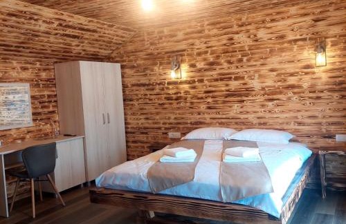 Copalnic-Manastur Ski Chalet | Ema House