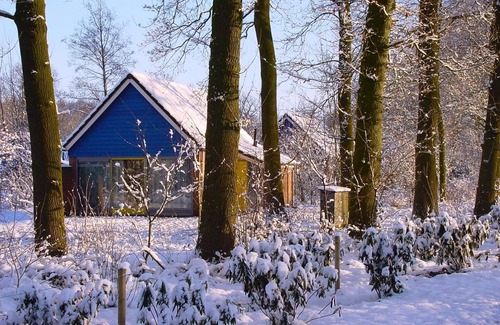 Nieuw Heeten House | Enjoy a relaxing stay in Bungalow IJssel for 4 people at De Sallandshoeve Holiday Park, surrounded by nature and the beauty of Sallandse Heuvelrug.