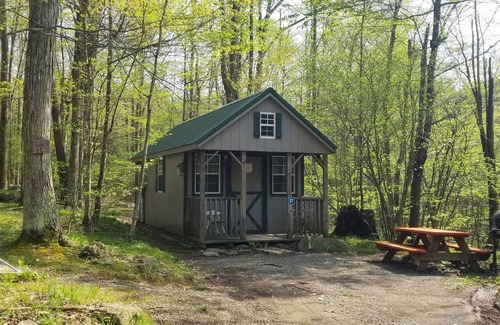 Elk Garden Cabin | Enjoy Nature At Its Finest-Rustic Furnished Cabin W/Electricity at Abrams Creek