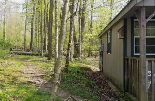 Elk Garden Cabin | Enjoy Nature At Its Finest-Rustic Furnished Cabin W/Electricity at Abrams Creek
