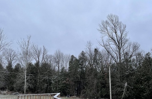 West Grey Other | Enjoy Relaxing & Cozy Farm Stay