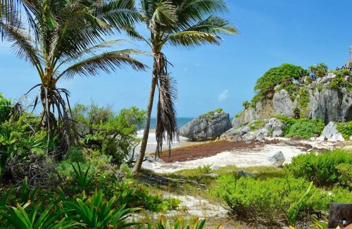 Ejidal Resort | Enjoy Sunsets @Luxury Studio/1BR/2BR Oasis Perfect for Romantic Getaway & Family