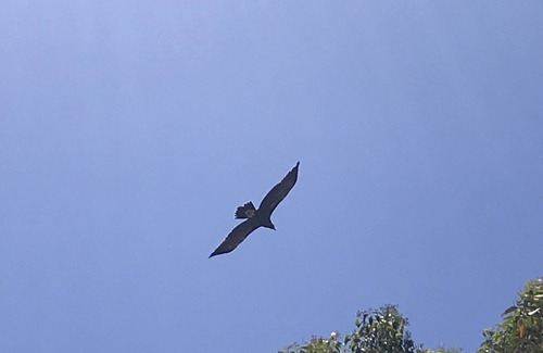 Chittering House | Enjoy the Serenity of Chittering Valley