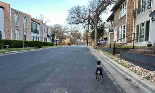 Tarrytown House | Ensuite Private Room