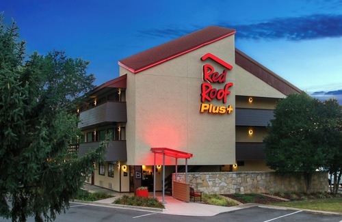 Statesville Apartment | Ensuring a Very Comfortable & Memorable Stay! Pet-friendly, Free Parking!