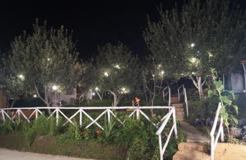 Aleo House | Enthralling Escapes Nature Stay and Trek