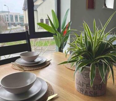 Cortober Apartment | Entire Apartment , Centre Carrick-On-Shannon
