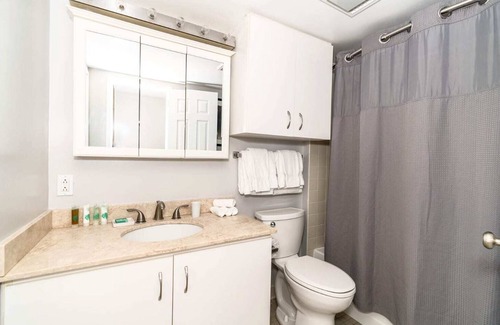 Downtown Apartment | Entire Apt Downtown with Gym