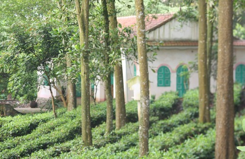 Luong Son House | Entire Tea Hill House in Hanoi Countryside : Private home with resort facilities