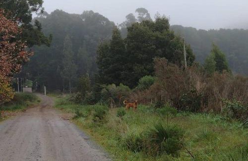 Tandil Ski Chalet | Entre Sierras