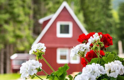 Breitenbrunn/Erzgeb. House | Erzgebirgsidyll