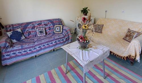 Juncal Apartment | Espaço Rural