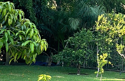 Yautepec House | Espaciosa y refinada casa campirana. Con alberca climatizada, jacuzzi y palapa.