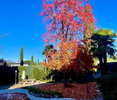 Algete Bed & Breakfast | Espléndido dormitorio en Suite