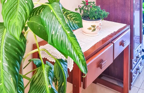 Nova Guarapari Apartment | Estada Inesquecível 04 Guarapari/peracanga Bacutia