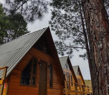 Cambara do Sul Hotel | Estalagem Refúgio do Capão
