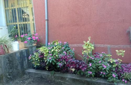 Lalibela Apartment | Estifanos Guest House