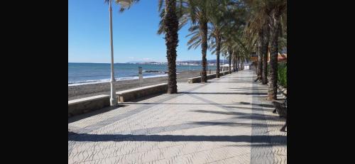 Algarrobo Apartment | Estudio fran centro internacional