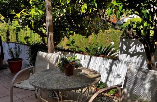 Sant Cebria de Vallalta Apartment | Estudio limonero en Sant Cebriá de Vallalta 20' playa
