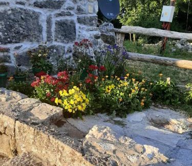 Mokrine Ski Chalet | Ethno House Kosic