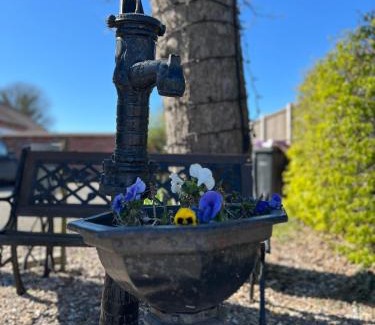 Skegness Resort | Etna Laurels at the peaceful Cherry Lea Holiday Park and Fishing Lake