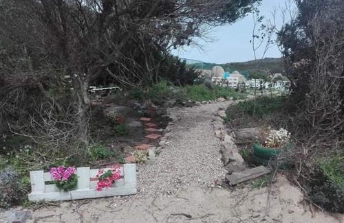 Santa Teresa di Gallura House | Eucaliptus Farm Retreat