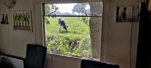 Coevorden House | Evenrust, gelegen nabij het Pieterpad