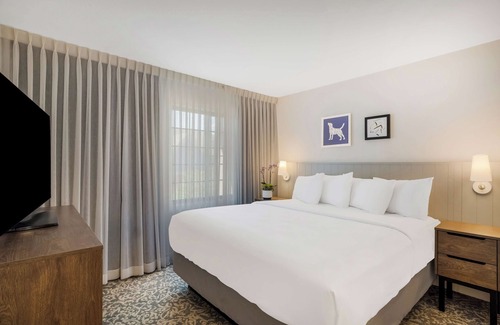 Sorrento Valley Hotel | Everything You Need For The Perfect Vacation! Heated Outdoor Pool, Pets Allowed!