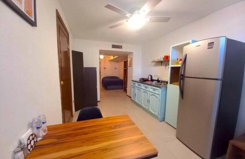 Chihuahua Apartment | Excelente Ubicación Centro Histórico Planta Baja Equipado