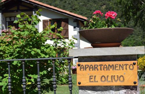 Ojedo Apartment | Excepcional Apartamento El Olivo