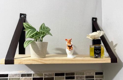 Tapana Apartment | Executive Flat COP30 Belém Apartamento Premium wi fi vaga 15 min da Cop30 e Aeroporto