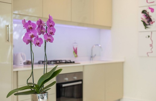 Greater Johannesburg Metropolitan Area Apartment | Executive luxury loft overlooking a green park and bird sanctuary