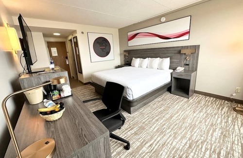 Southwest Area House | Executive suite w/private bath