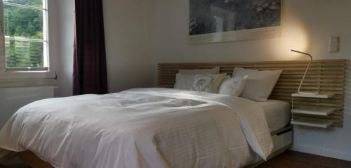 Klettgau Apartment | Exklusive LOFT-Wohnung, nur 30 Min von Zürich