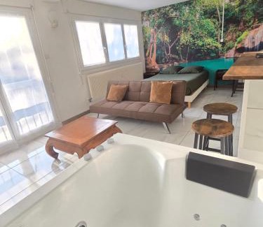 Belfort Apartment | Exotic Spa Balcon Wifi Netlfix Parking