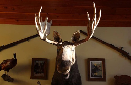 Bridge Lake Cabin | Experience a working guest Ranch in the Heart of Cowboy County