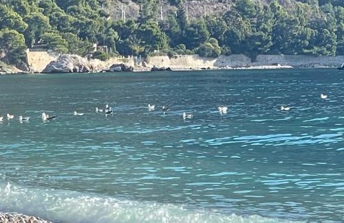 Eze Apartment | Ezevacances Studio Capuccino vue mer 5 mn plage 7 mn gare Wifi